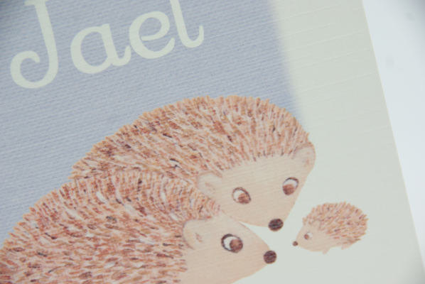 geboortekaartje jael lila